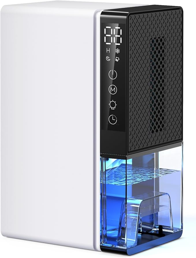 Read more about the article Dehumidifier for home