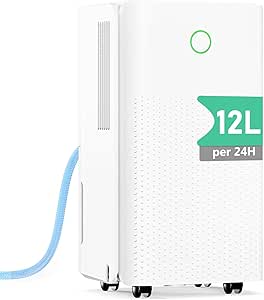 Read more about the article 