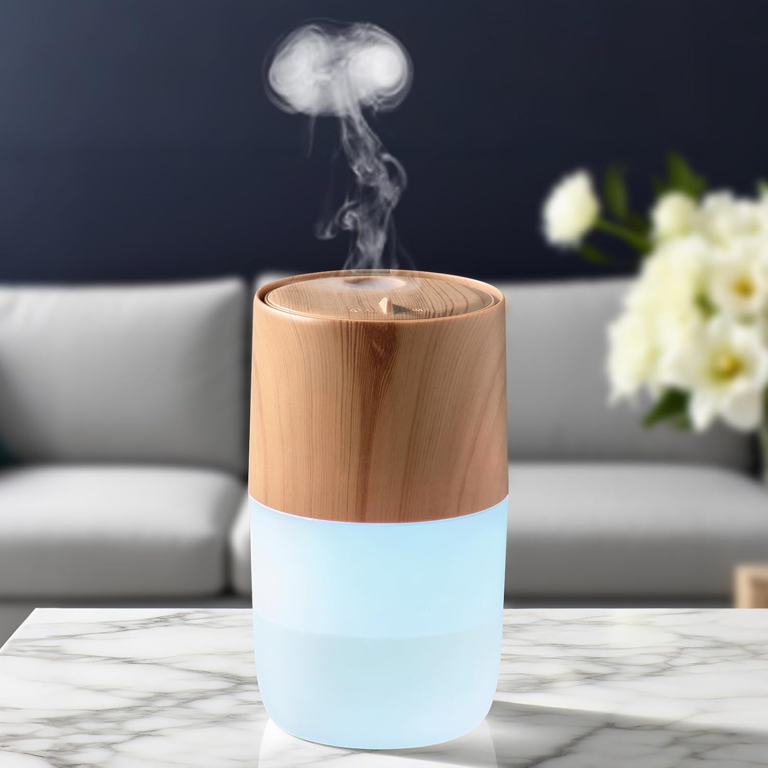 Read more about the article Diffuser, Quiet 4-in-1