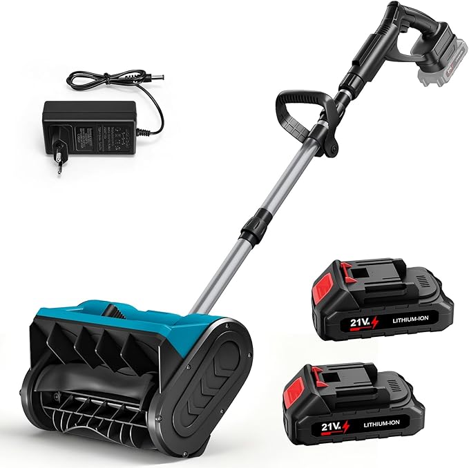 Read more about the article Snow Blower Battery 21 V