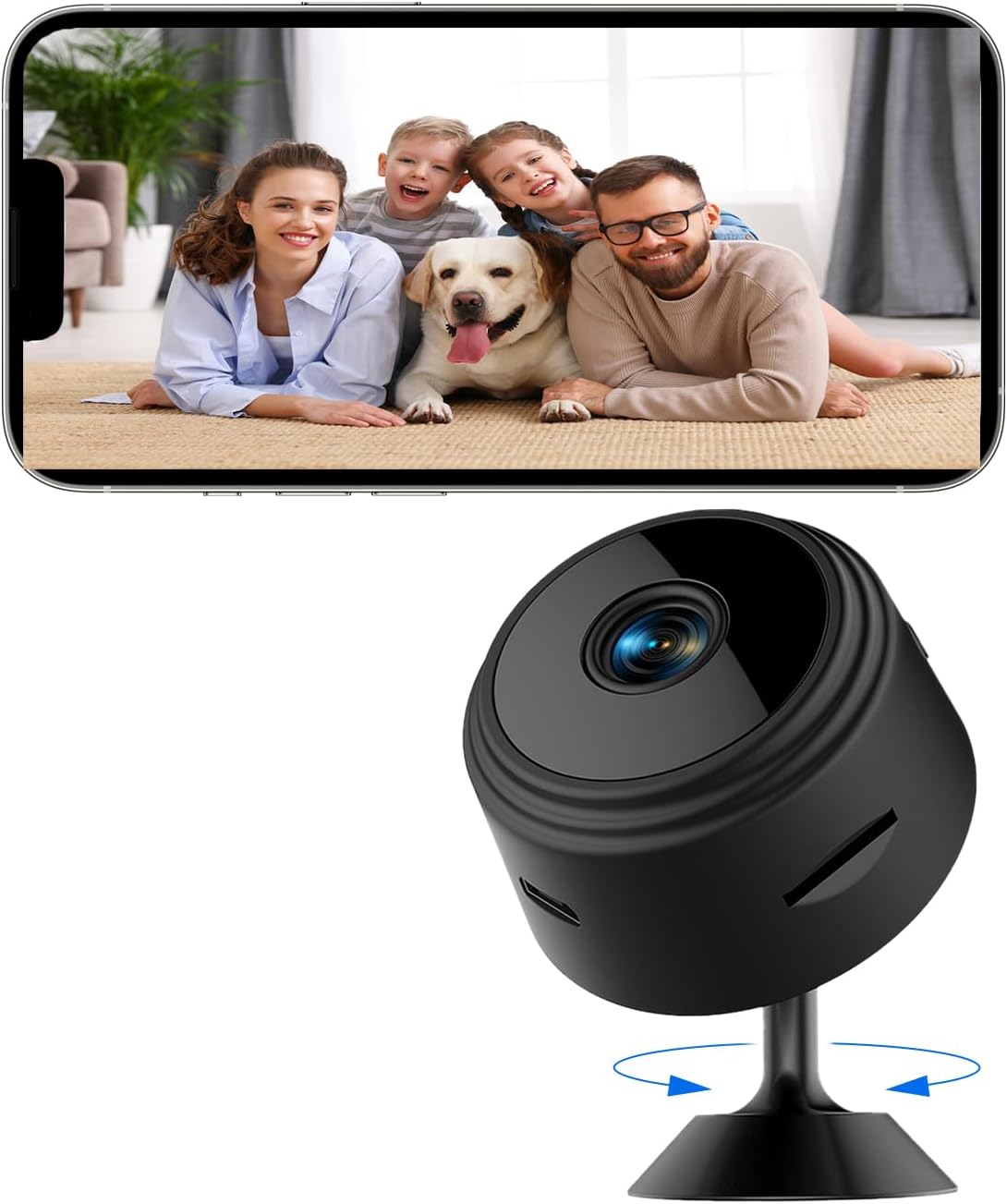 Read more about the article Small Indoor