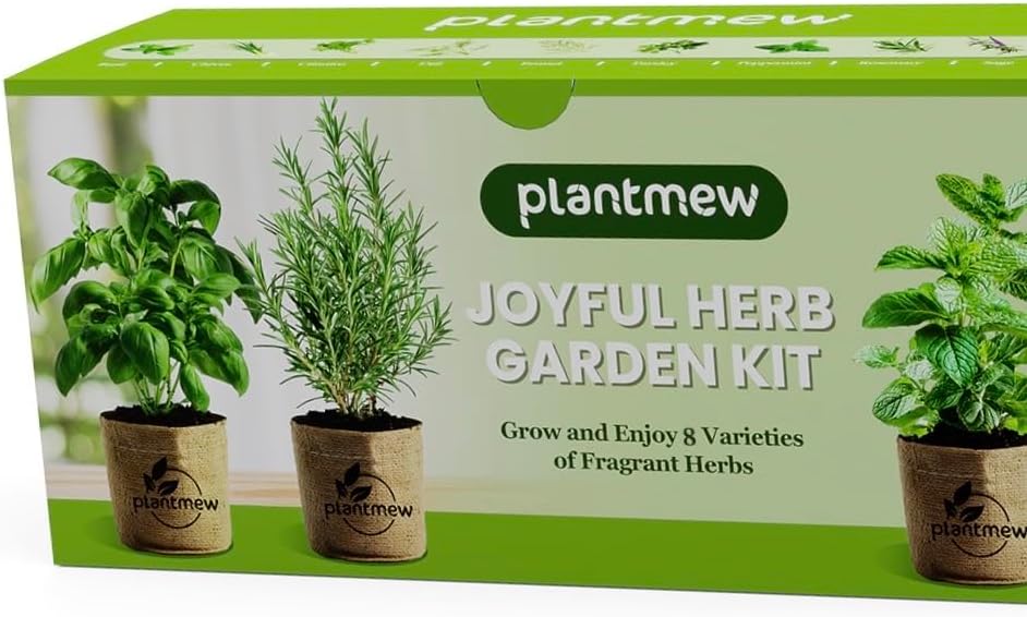 Read more about the article 8 Herb Garden Kit