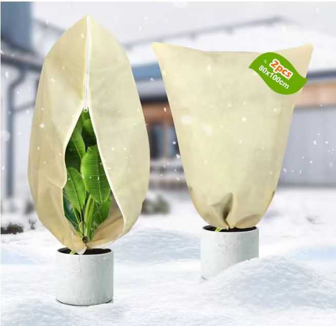 Read more about the article pflanzenschutz winter