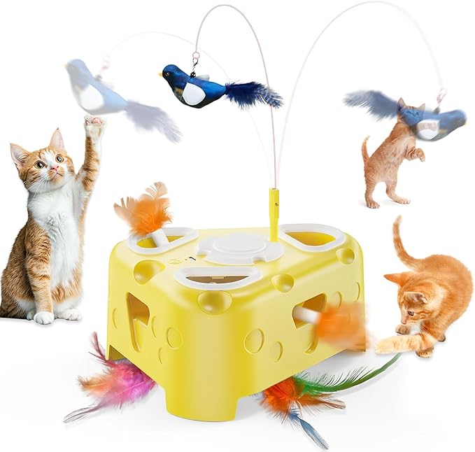 Read more about the article Interactive Cat Toys
