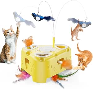 Read more about the article Cat Toy Interactive Cat Toy