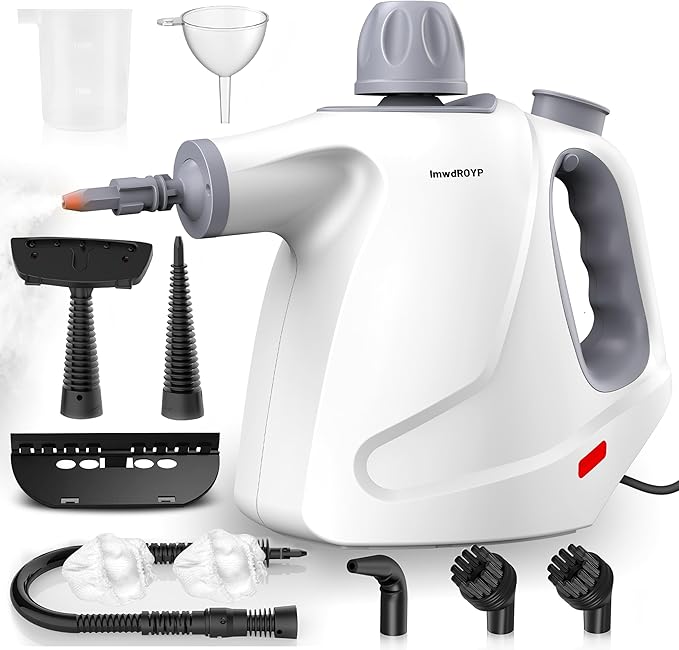 Read more about the article Steam mop