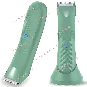 Read more about the article 