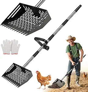 Read more about the article Scooper