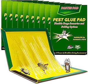 Read more about the article Cockroach Trap