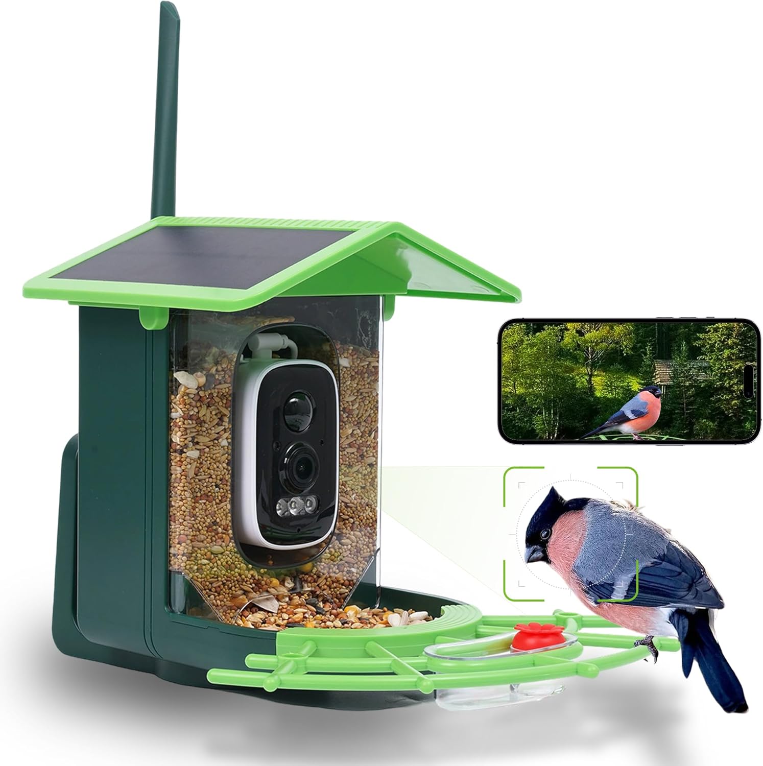 Read more about the article Bird Feeder with Camera