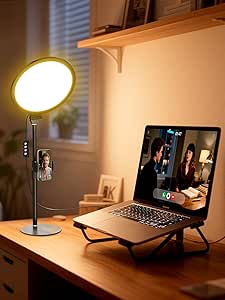 Read more about the article Desktop Selfie Light z