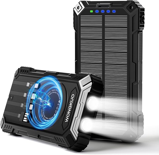 Read more about the article Power Bank