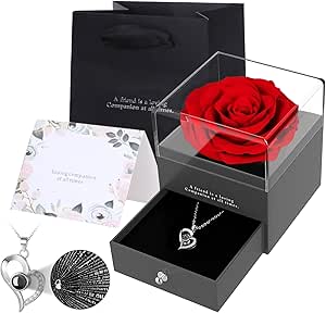 Read more about the article Zynxel Eternal Real Rose with Heart Necklace