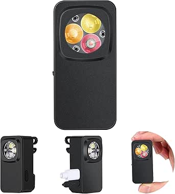 Read more about the article Torch Light z