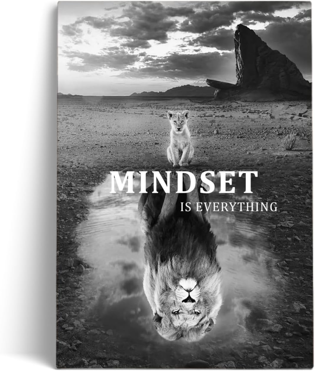 Read more about the article Mindset Is Everything