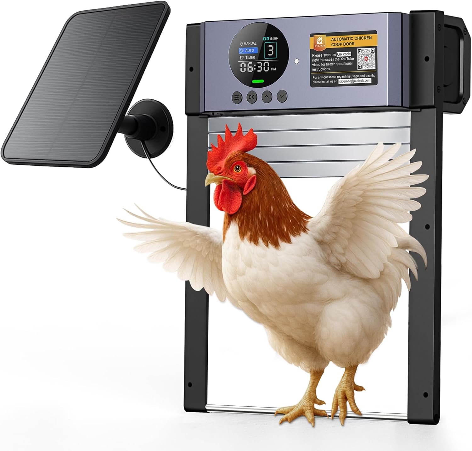Read more about the article Automatic Chicken