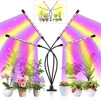 Read more about the article Grow light