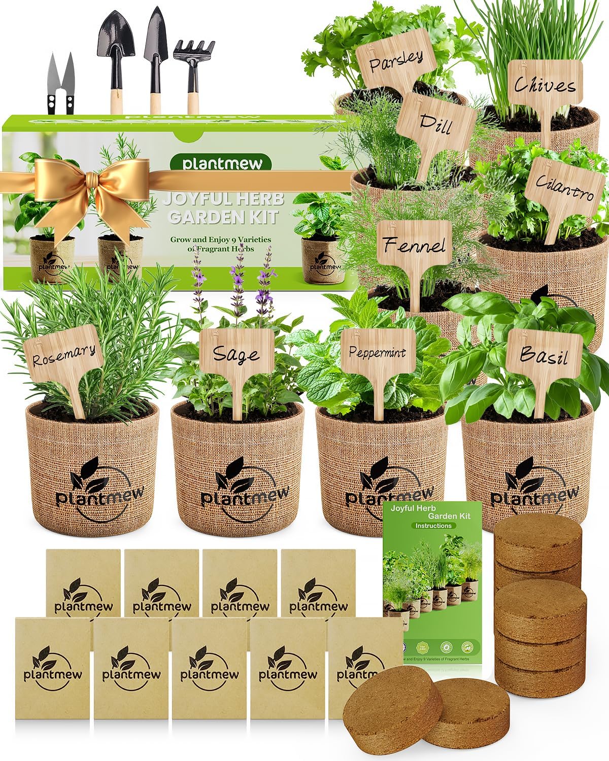 Read more about the article Herb Indoor Garden