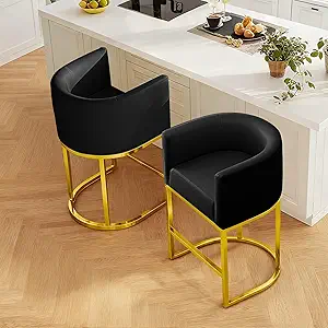 Read more about the article Modern Counter Height Bar Stool