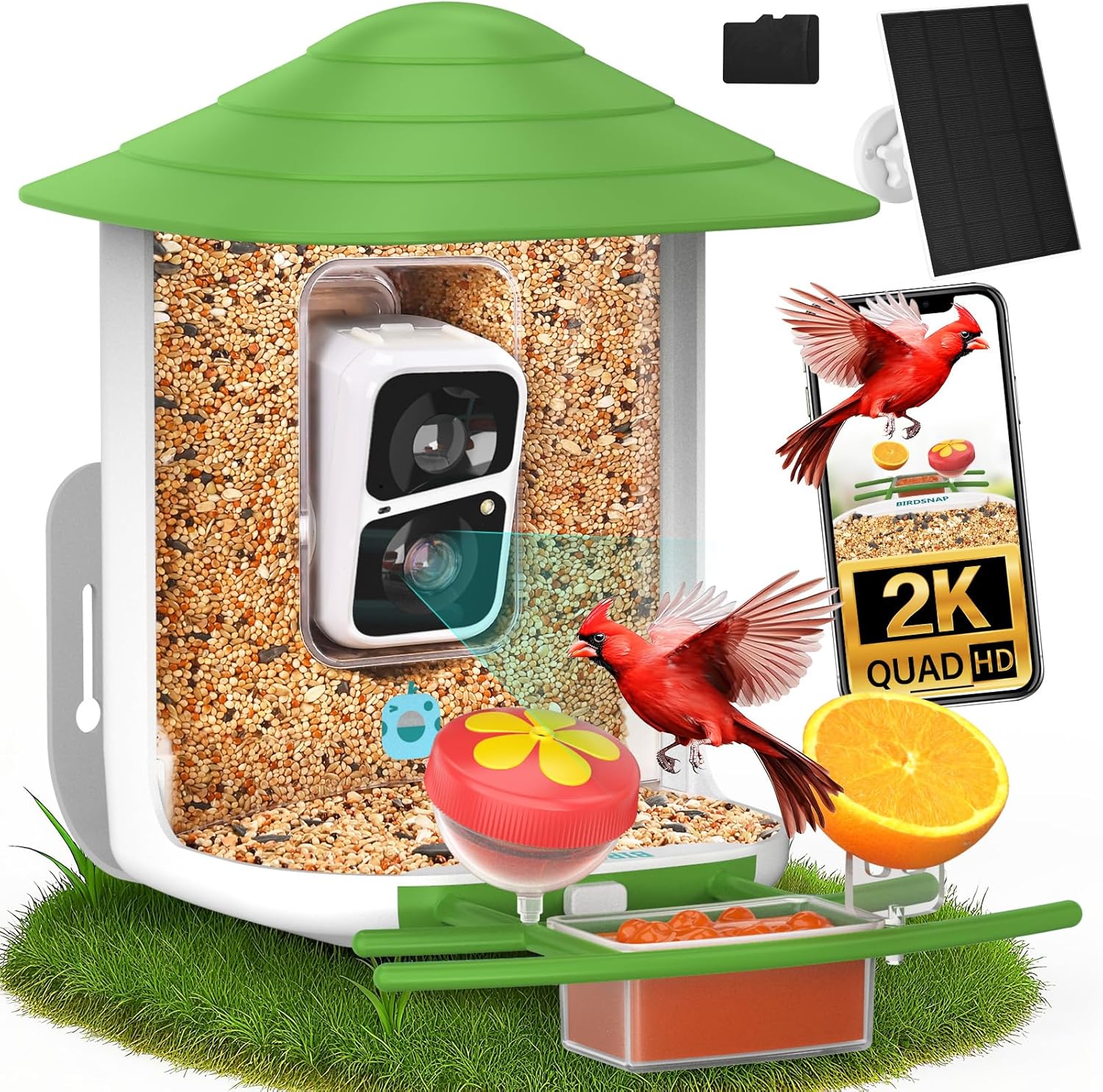 Read more about the article TUC Bird Feeder