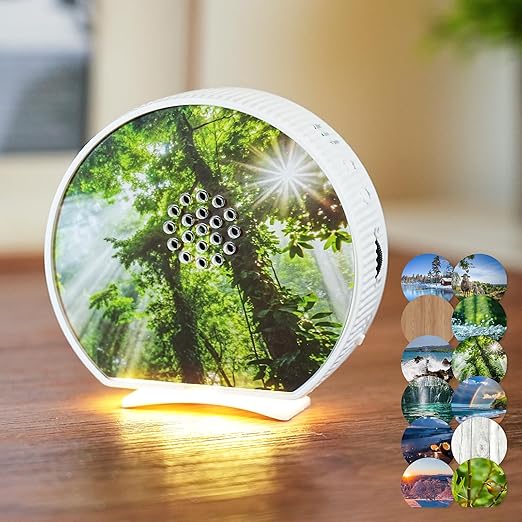 Read more about the article Vogelgezwitscher Bewegungsmelder Box,