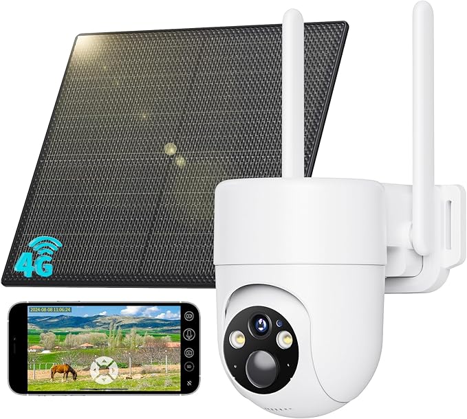 Read more about the article 