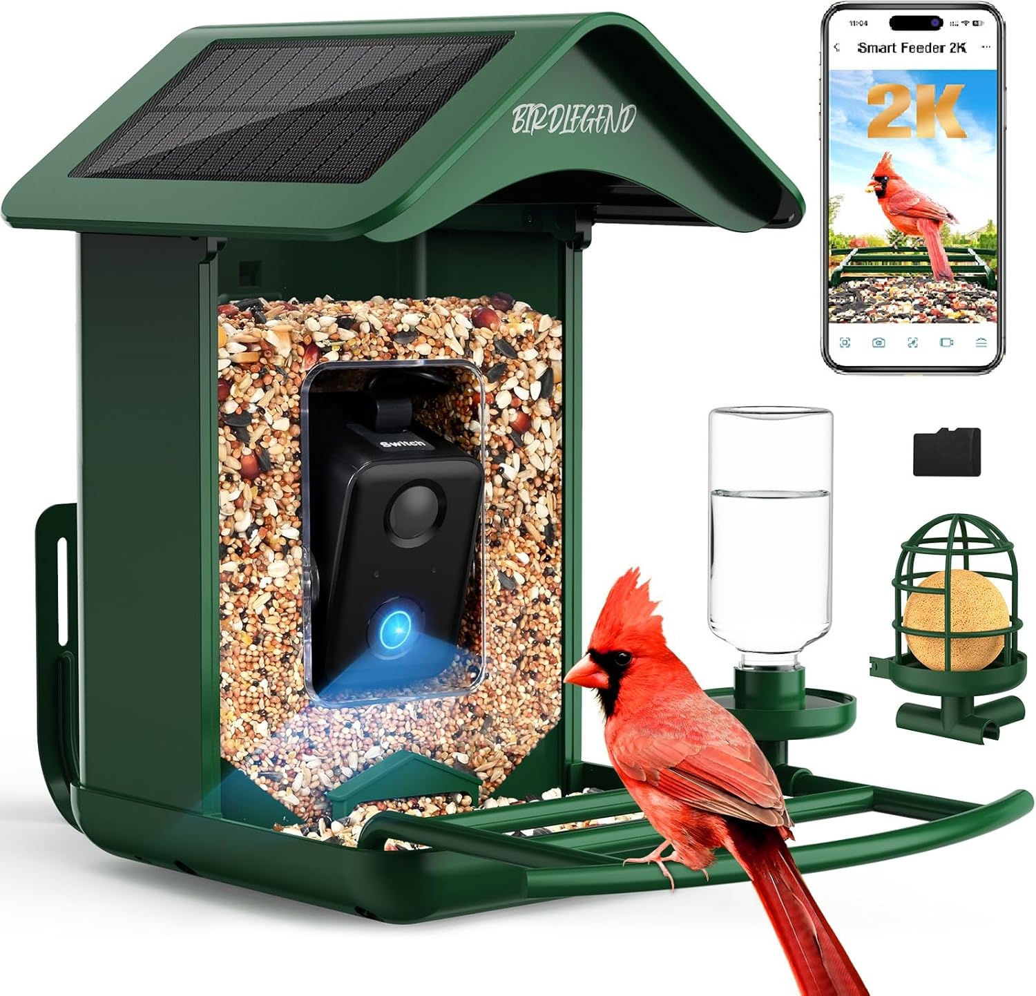 Read more about the article Bird Feeder Camera