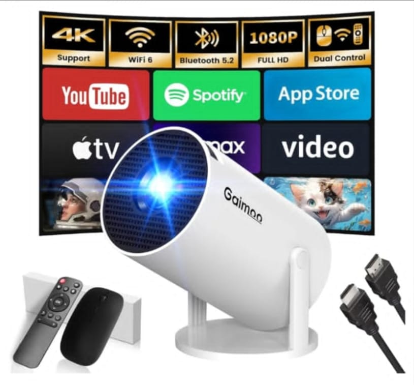 Read more about the article Mini Projector