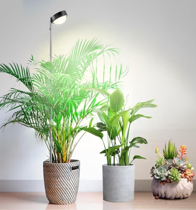 Read more about the article Plant lamp