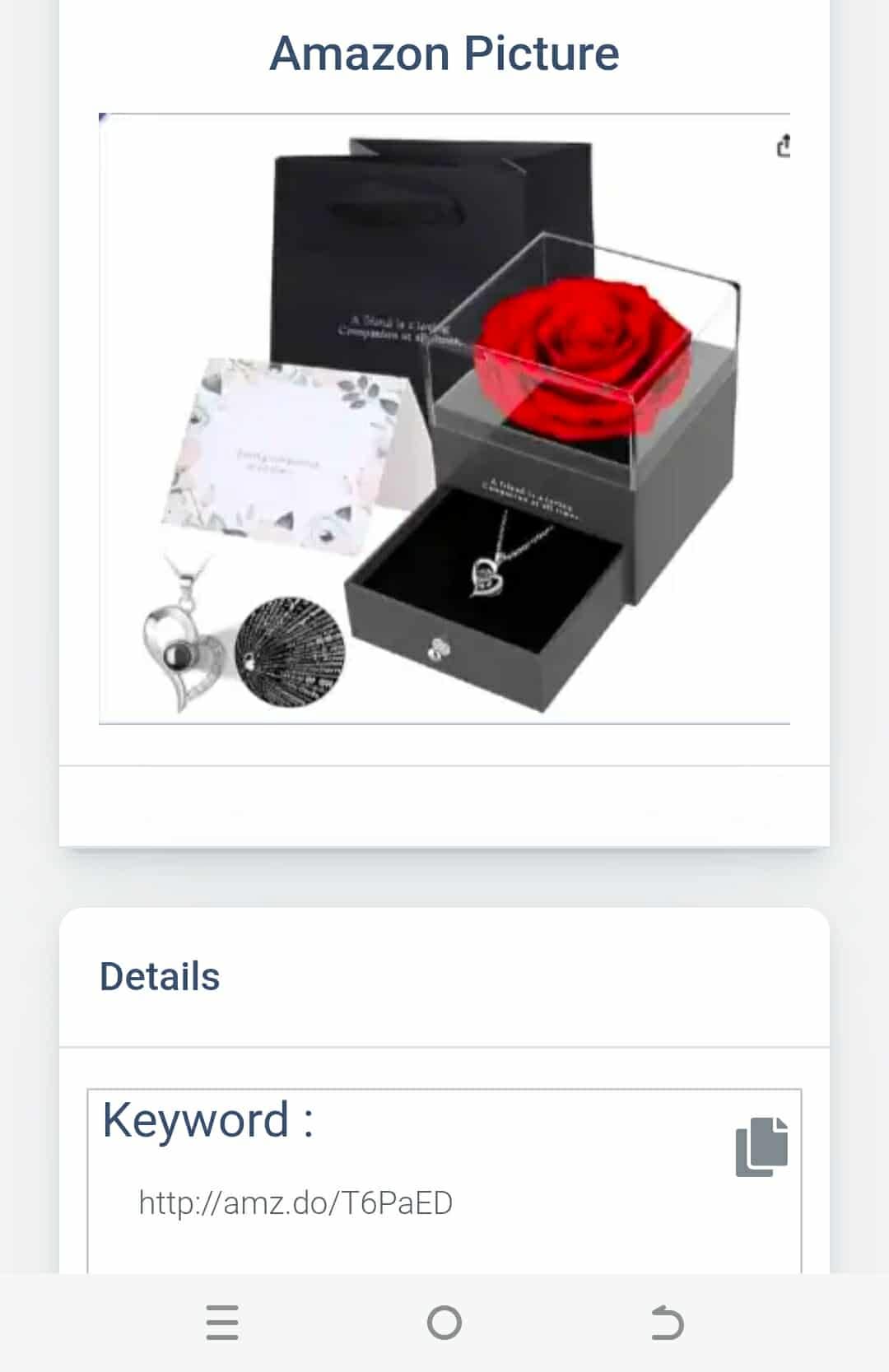 Read more about the article Zynxel Eternal