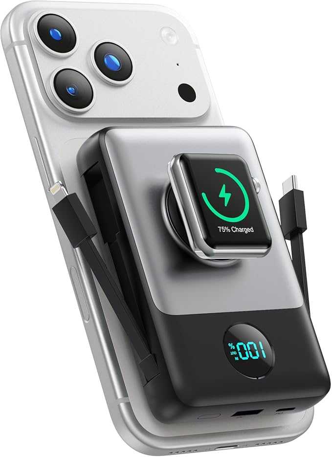 Read more about the article Portable Charger