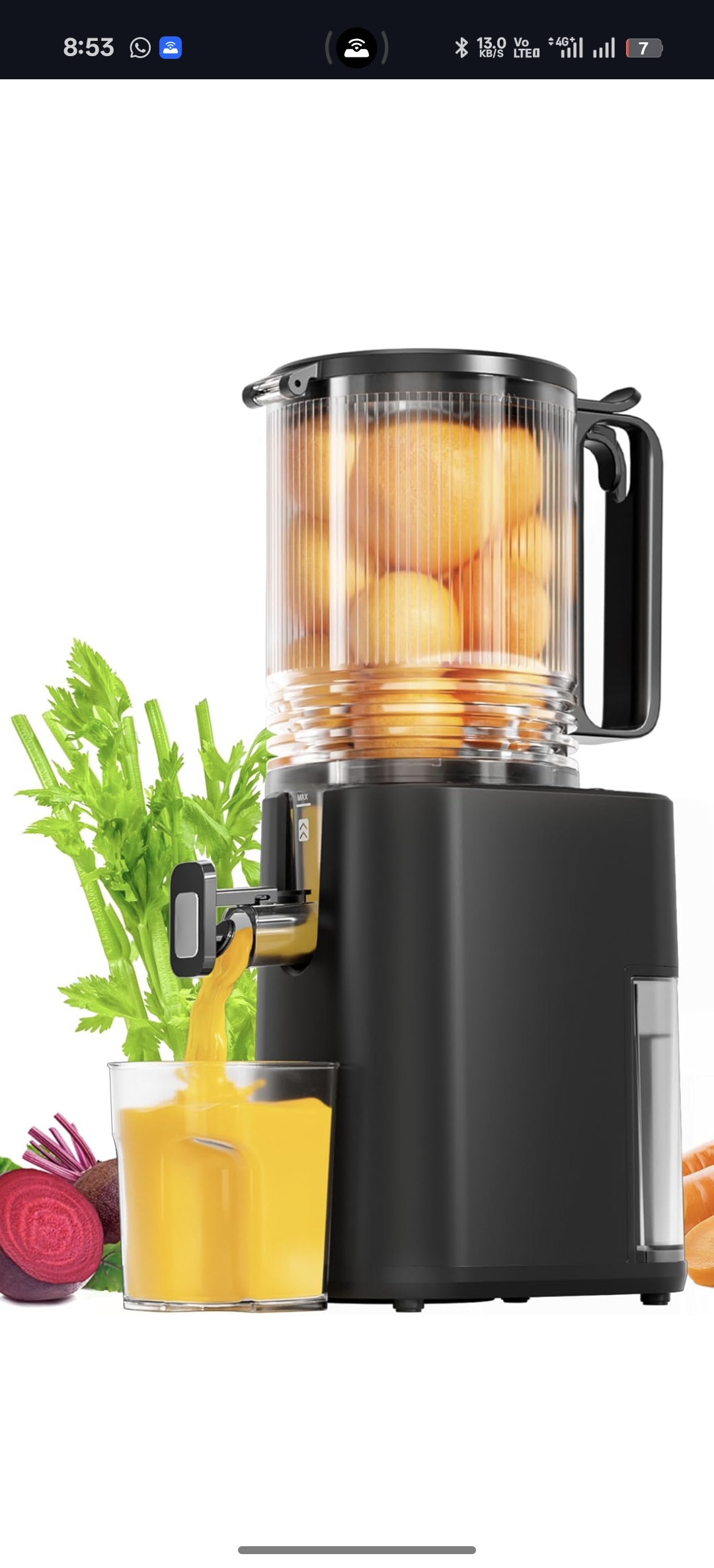 Read more about the article 