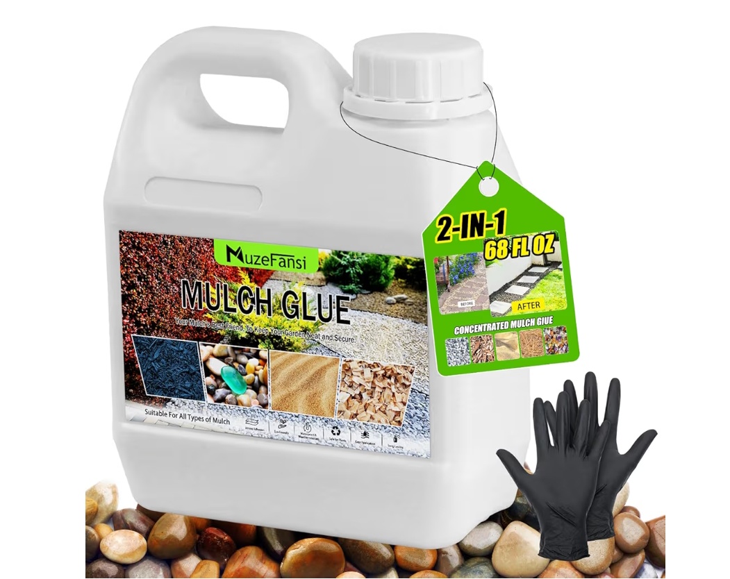 Read more about the article ……..