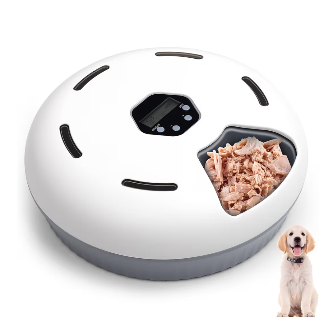 Read more about the article ….