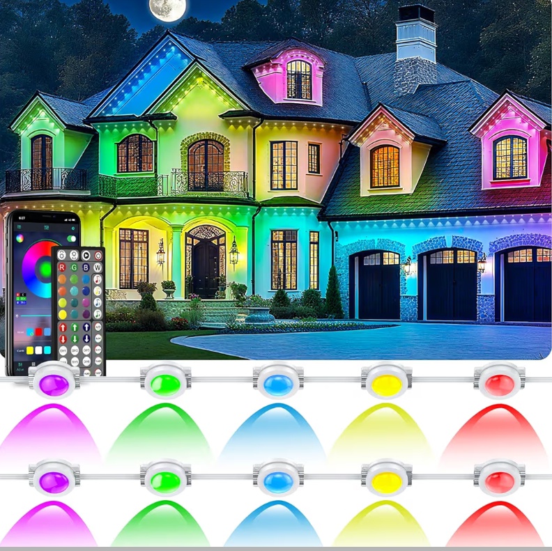 Read more about the article ……