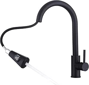 HOMELODY Kitchen Tap Black with Temperature Display