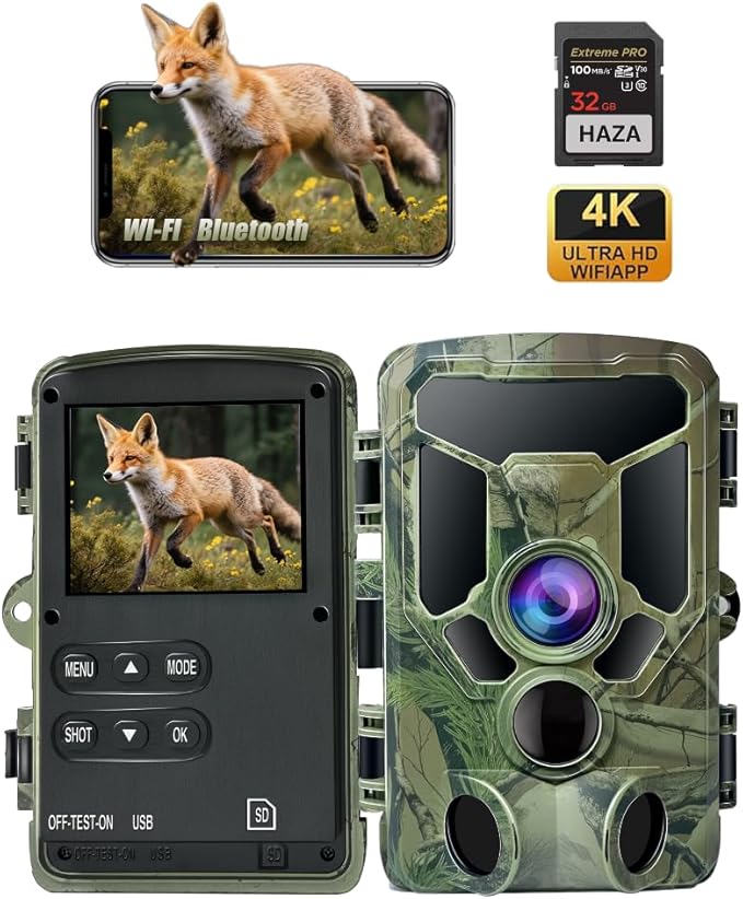 Read more about the article Wildkamera