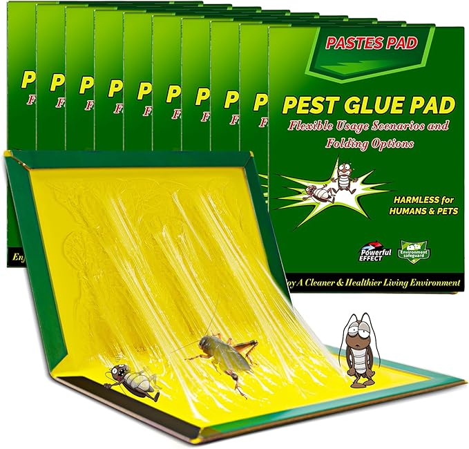 Read more about the article Cockroach Trap, Bed Bug Trap, 31.5 cm x 21 cm