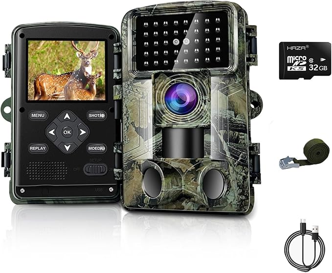 Read more about the article Wildlife Camera