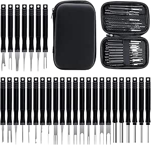 Read more about the article 