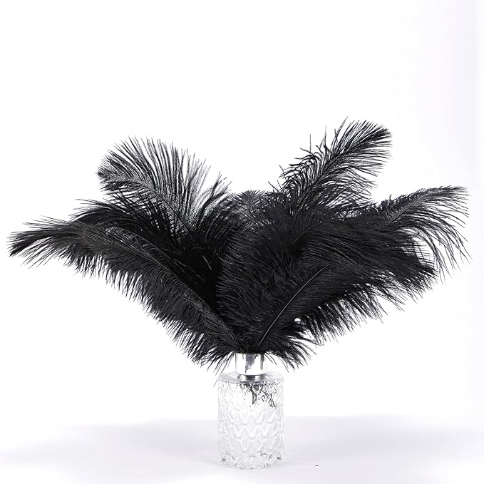 Read more about the article Ostriche features