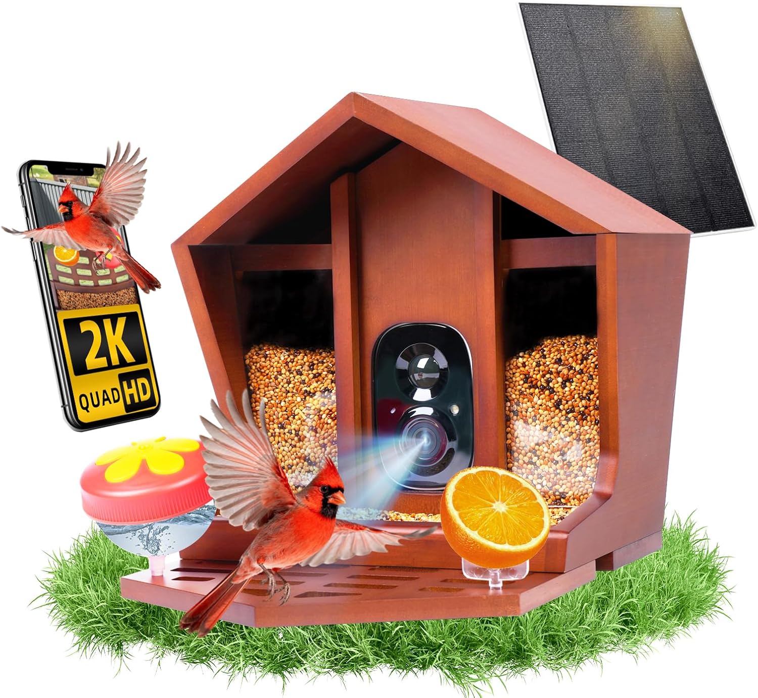 Read more about the article smart bird feeder