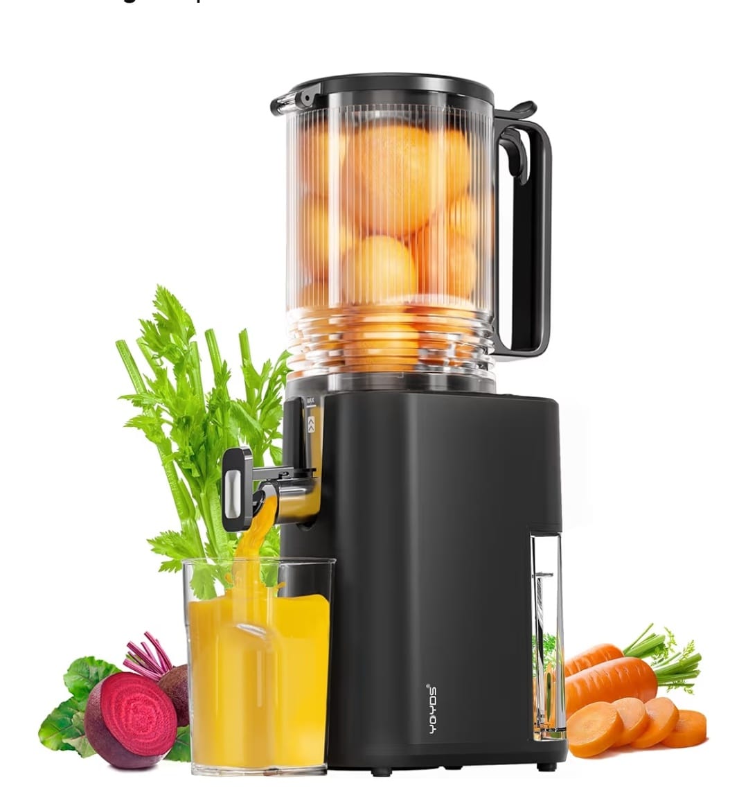 Read more about the article Cold Press Juicer, 5.5inch