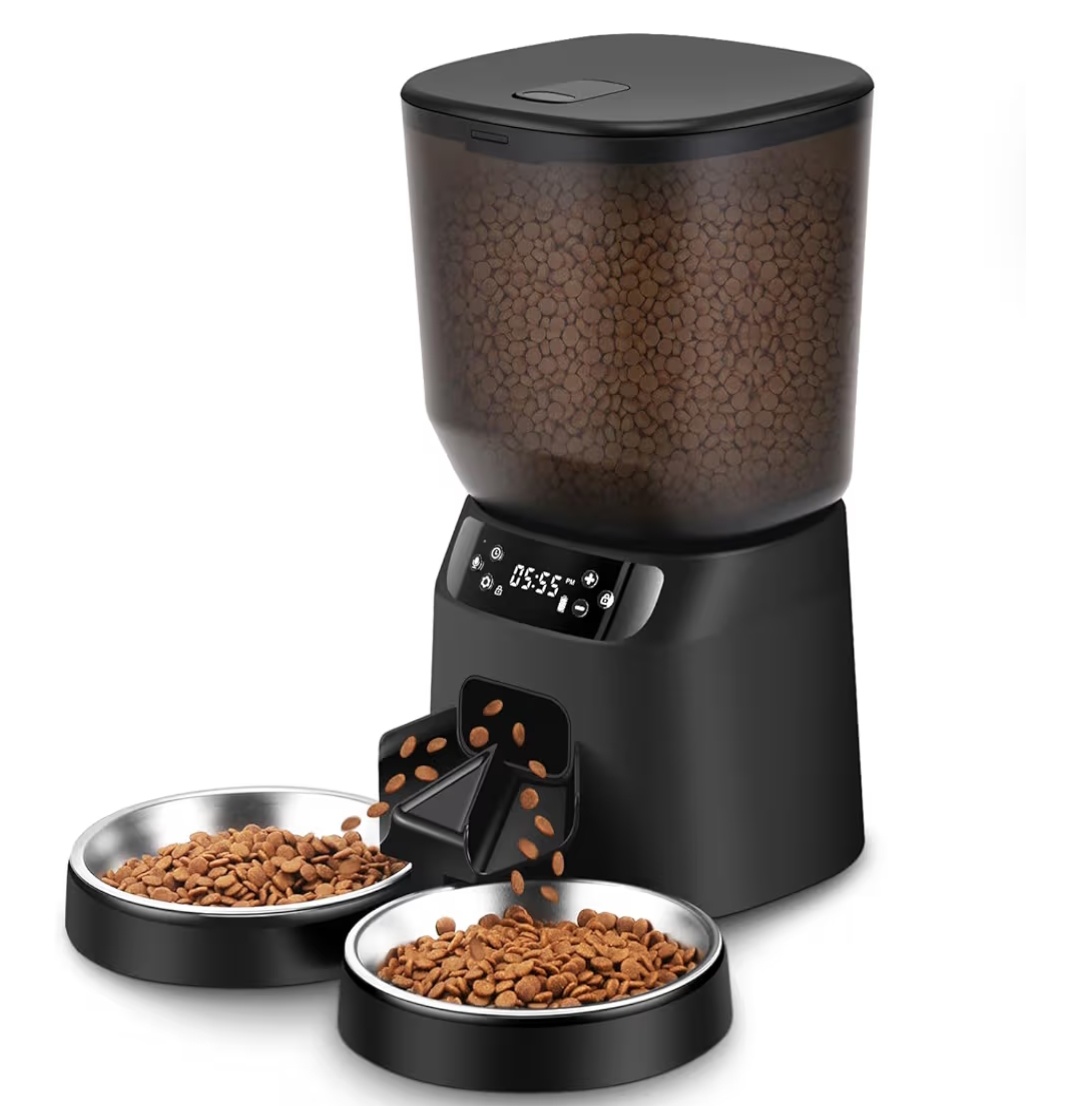 Read more about the article ……