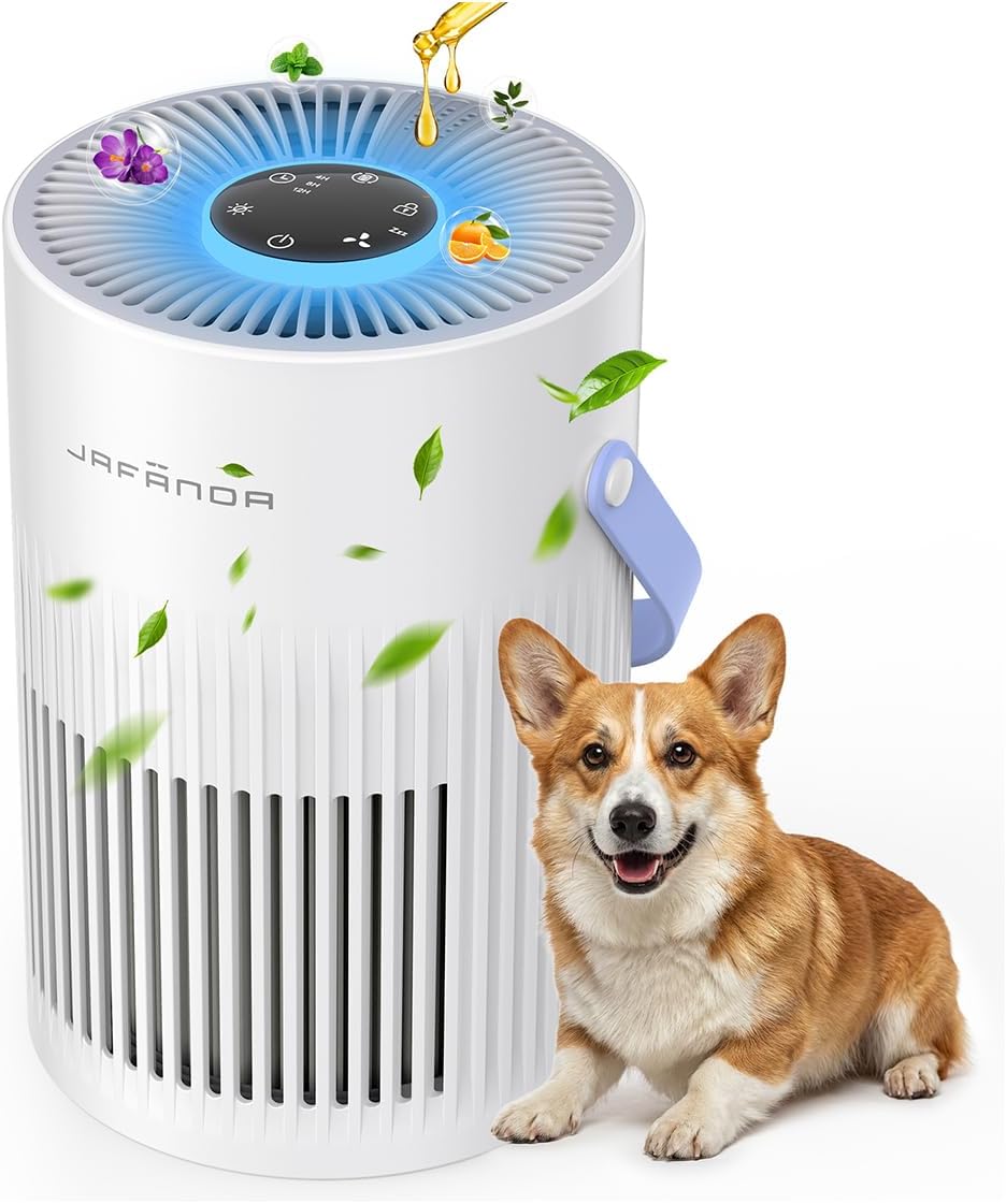 Read more about the article air purifier for home bedroom