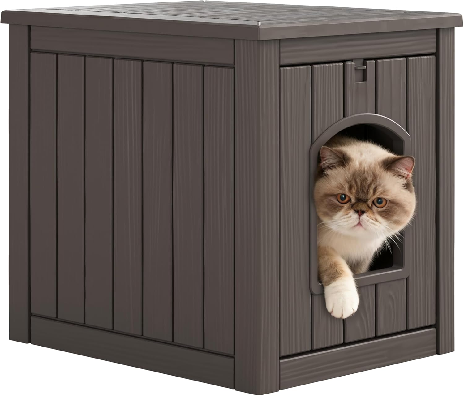 Read more about the article Litter Box Enclosure