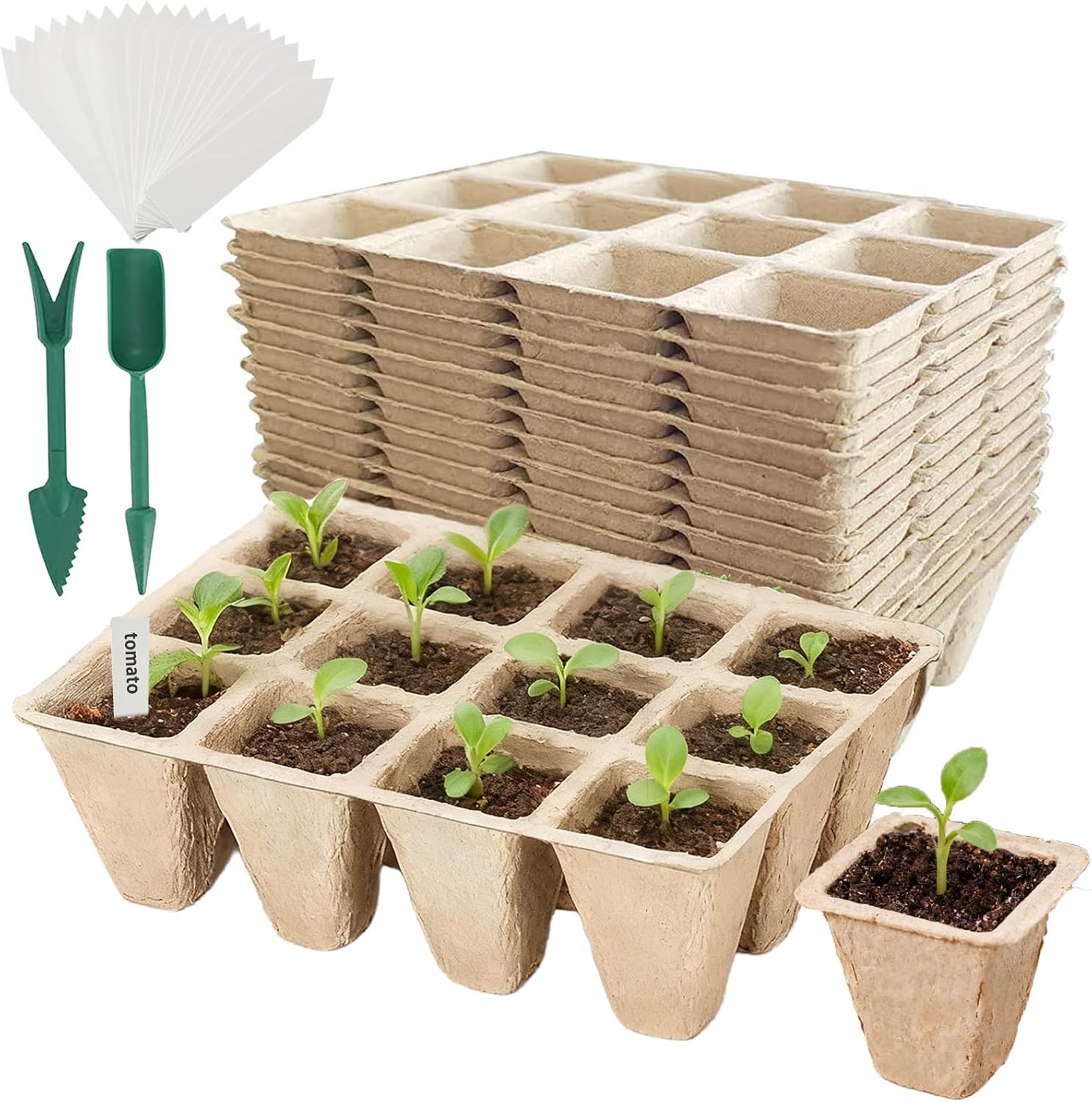 Read more about the article 240 Cells Biodegradable Peat Pots