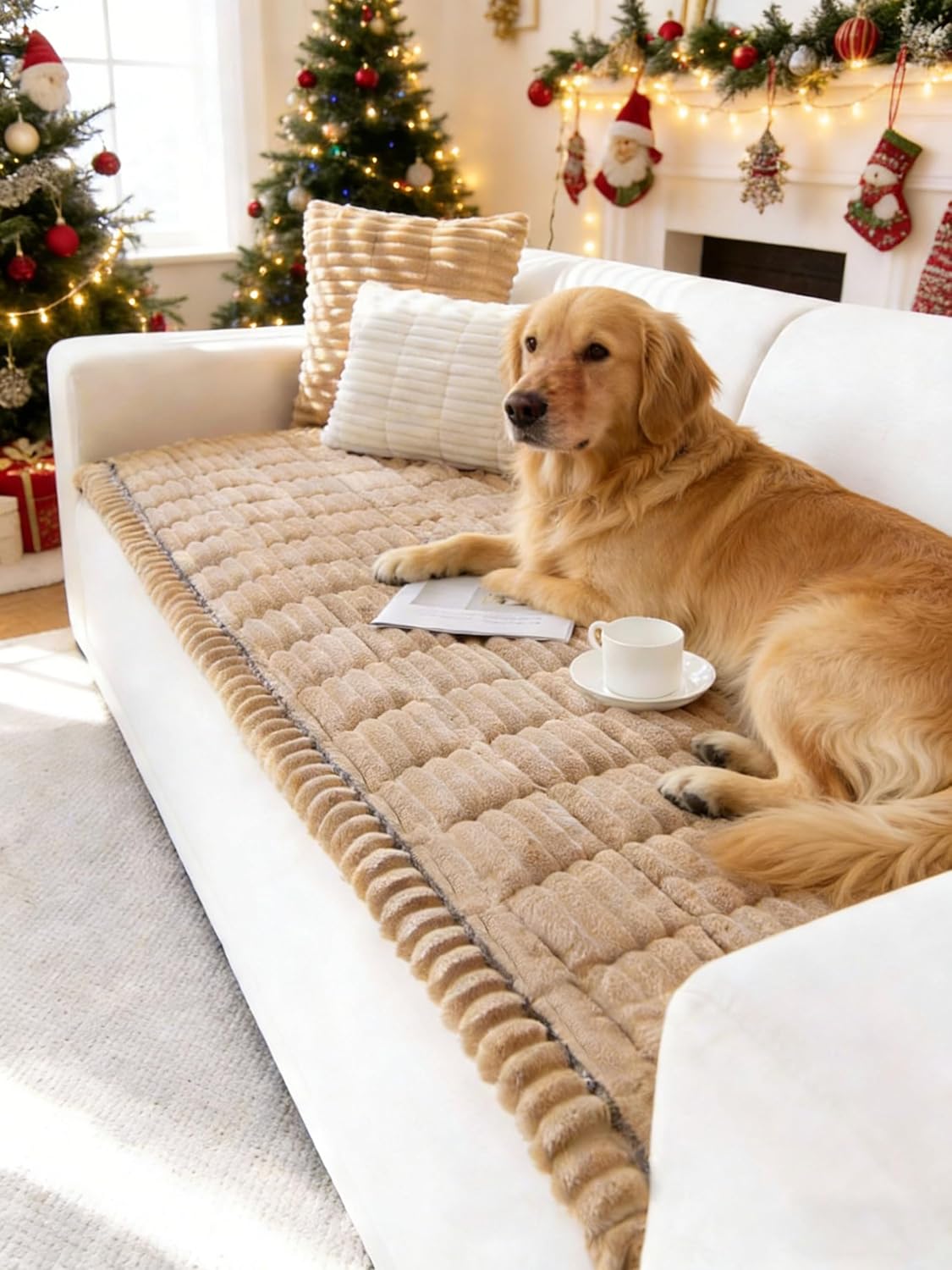 Read more about the article Couch Cover for Dogs Washable