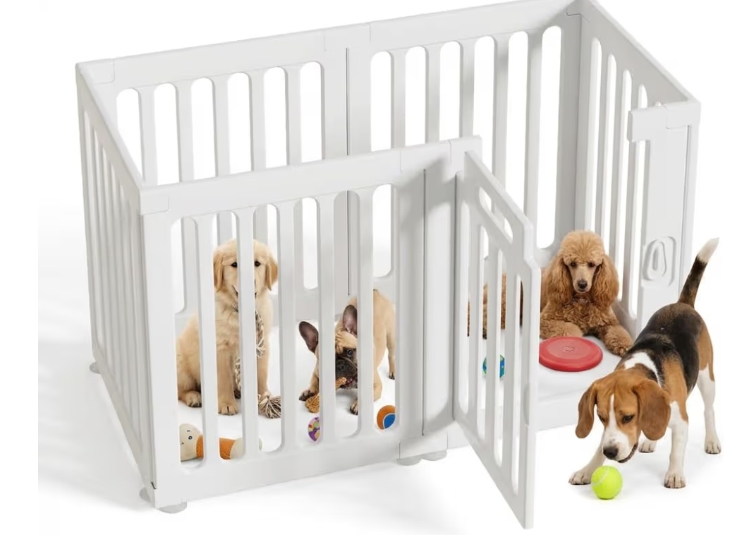 Read more about the article Dog playpen